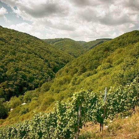 Ferienwohnungen Lithos Oberwesel Bagian luar foto