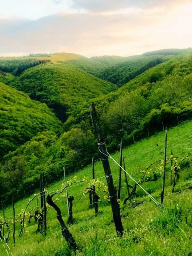 Ferienwohnungen Lithos Oberwesel Bagian luar foto